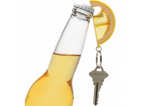 Lime Wedge Bottle Opener Keychain Lime Slice Key Chain Bottle Opener