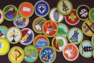 Merit Badge Merit Badge